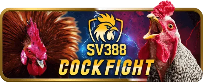 Các chương trình khuyến mãi đá gà hấp dẫn tại S6666 Casino
